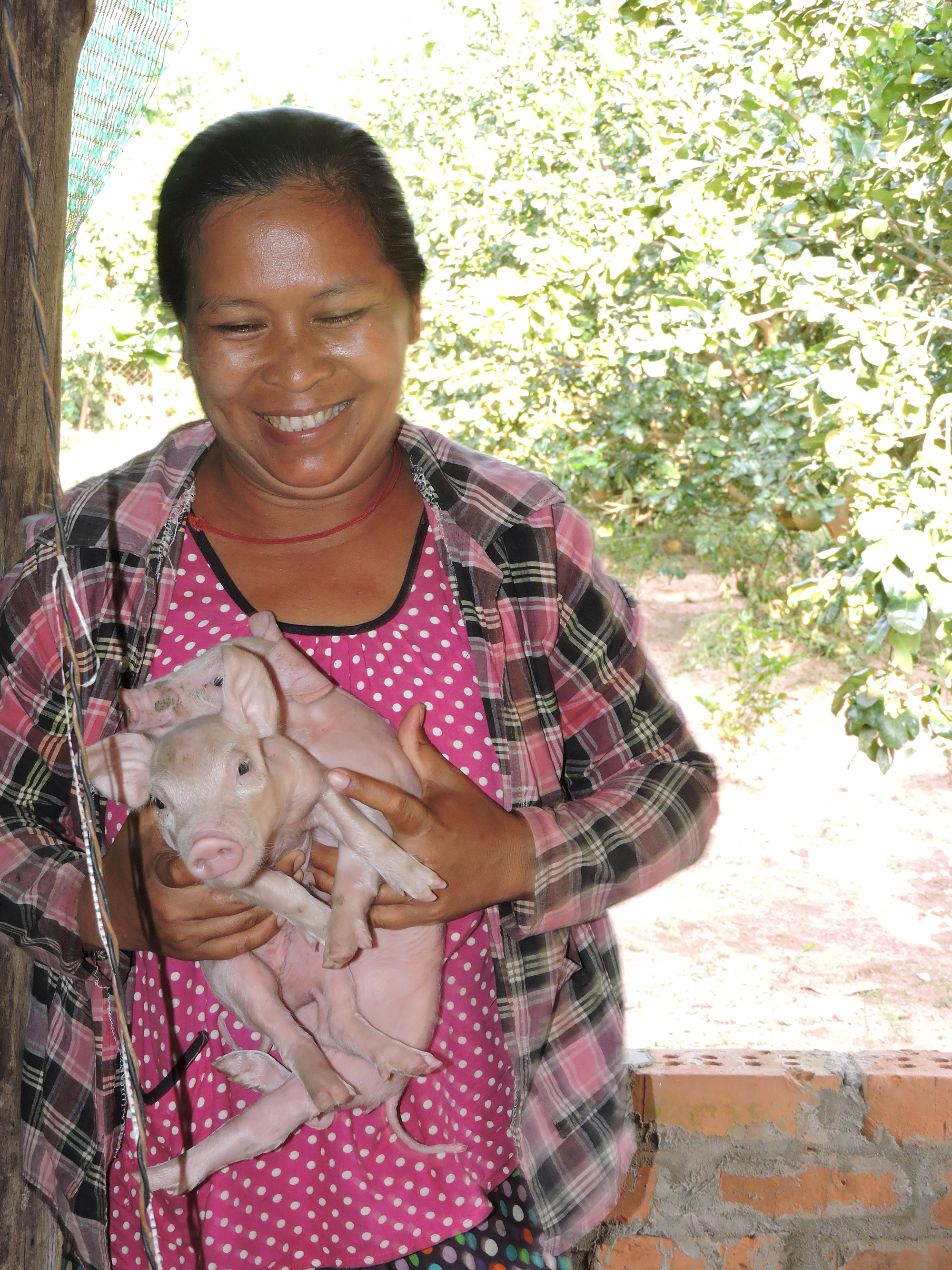 woman holding piglets