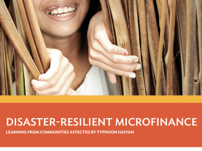 disaster-resilient-microfinance