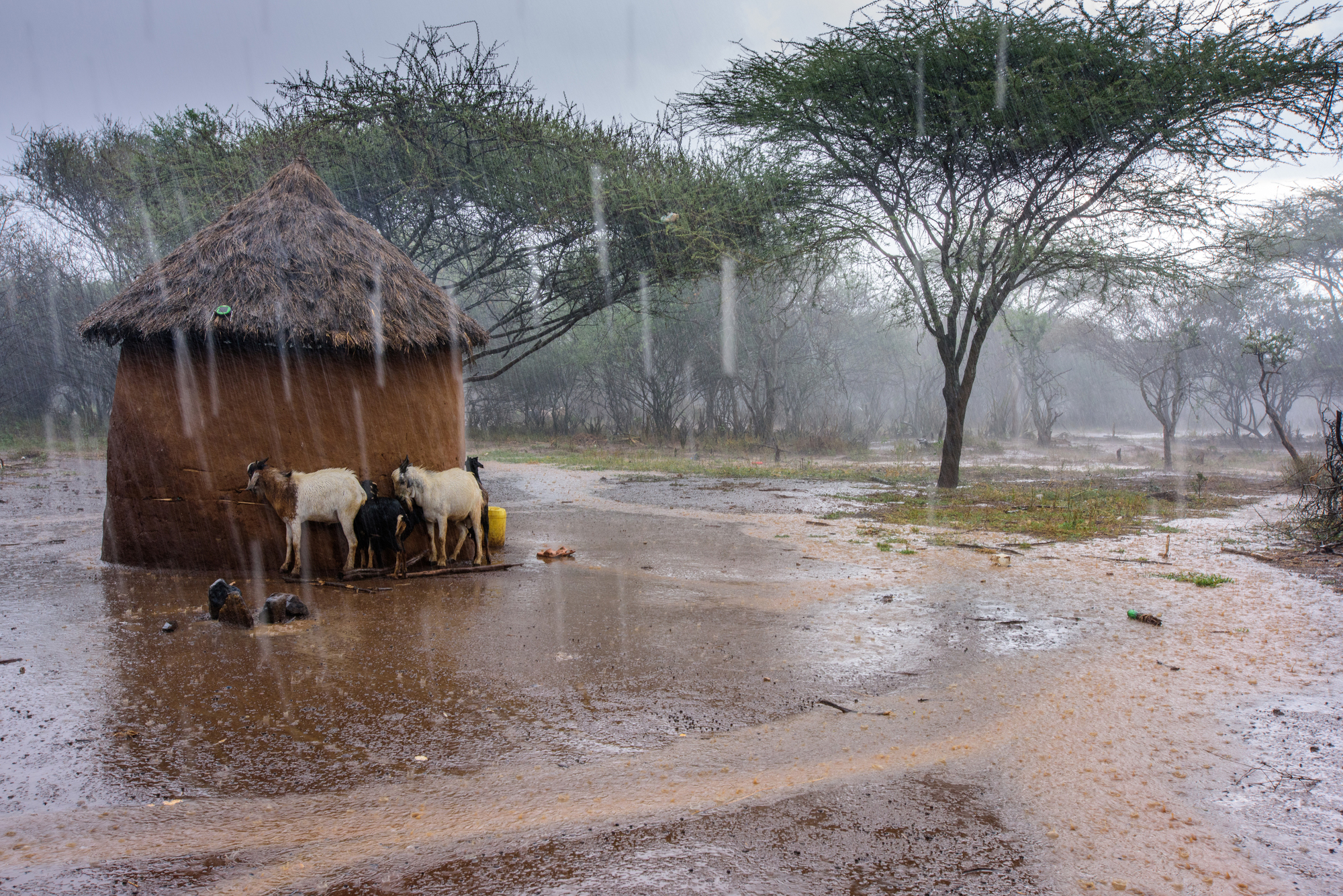 House being flooded by rains in Kenya