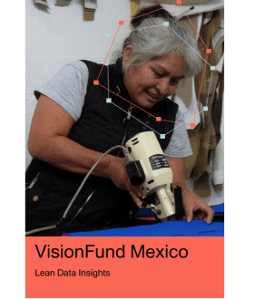 VisionFund Mexico Recovery Lending Evaluation