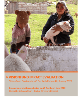 VisionFund Guatemala Impact Evaluation Report
