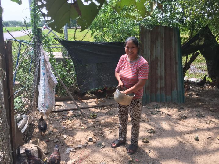 Mrs. Minh feeding her chickens.
