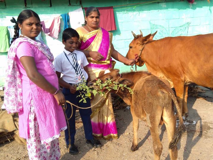 Selvi with her two child with the cows she purchase from her loan proceeds. 