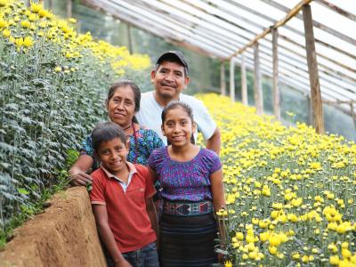 Trinidad and family in their flower farm in Guatemala