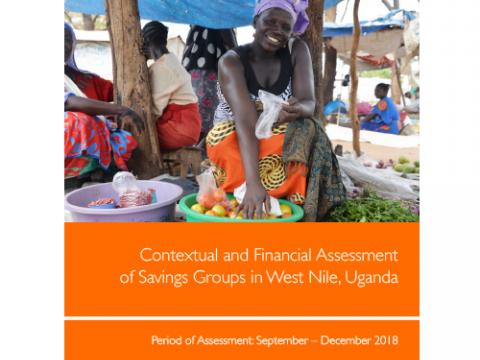Contextual and Financial Assessment of Savings Groups Report