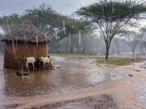 House being flooded by rains in Kenya