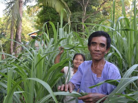 Workers Return To Myanmar: Can Microfinance Help?