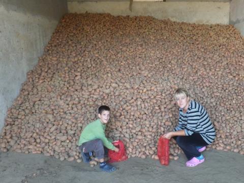 Biljana and her son with their bounty of potatoes harvest. 