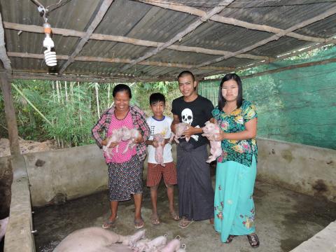 Family with pigs they sell in Myanmar