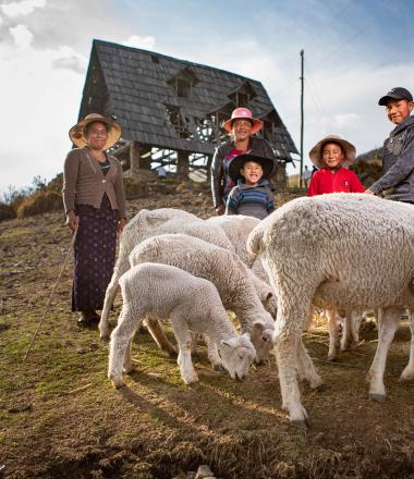 Guatemala family with sheep