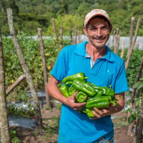 Man standing in Honduras holding peppers from his farm