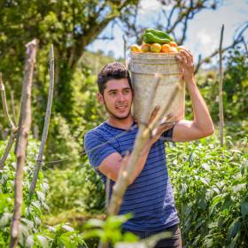 Man carrying bucket of tomatoes and peppers in Honduras