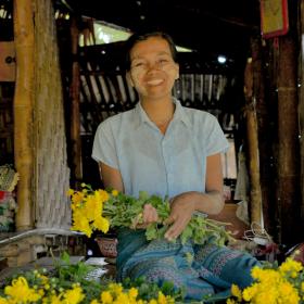 Woman cutting flowers from her flower farm in Myanmar