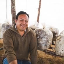 Man growing mushrooms for his business in Mexico