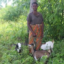 Idah Yohane with her goats in a field